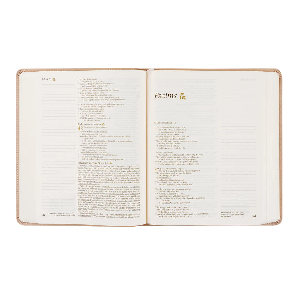 NLT Notetaking Bible: Shiloh Theme