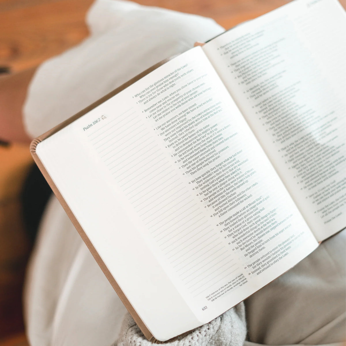 NLT Notetaking Bible: Galilee Theme